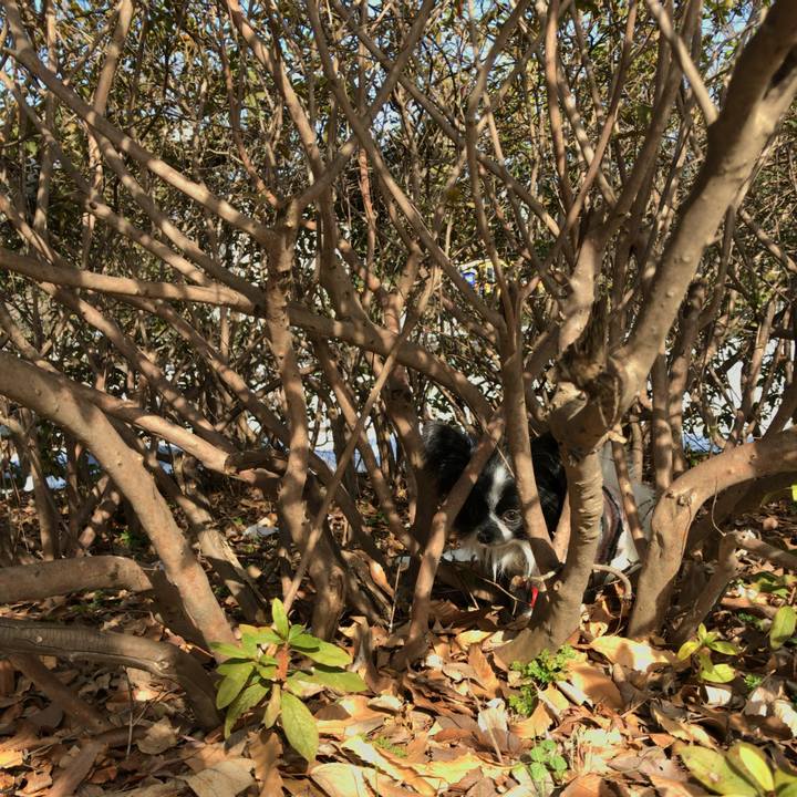 7d696935 f2ee 4fa4 9d6d 0a21dd584e46 1517288135399