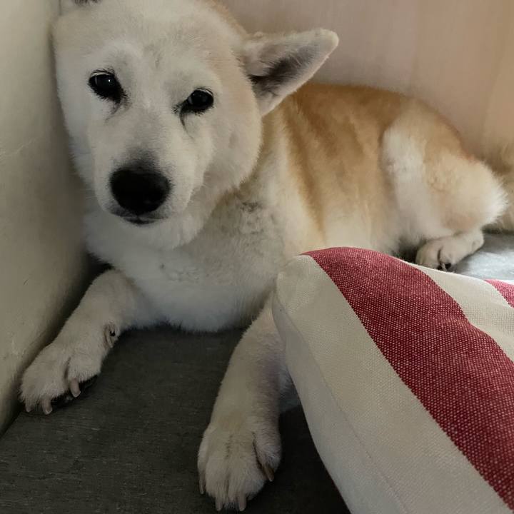 7d6982dc 620f 44e3 8e2b 83e37cda45f5 1664494154436