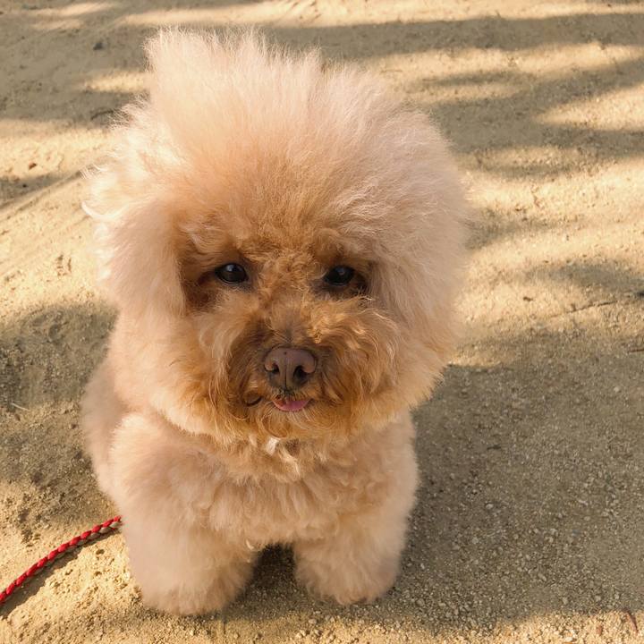 7d69bced cb33 4c7f a7cf ce2cd85d3174 1541667528675