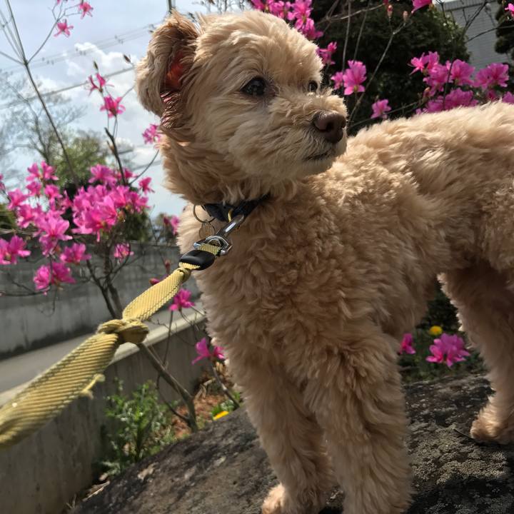 7d69d37a f57b 4ad0 80ce 76e4f35523b7 1512299592202