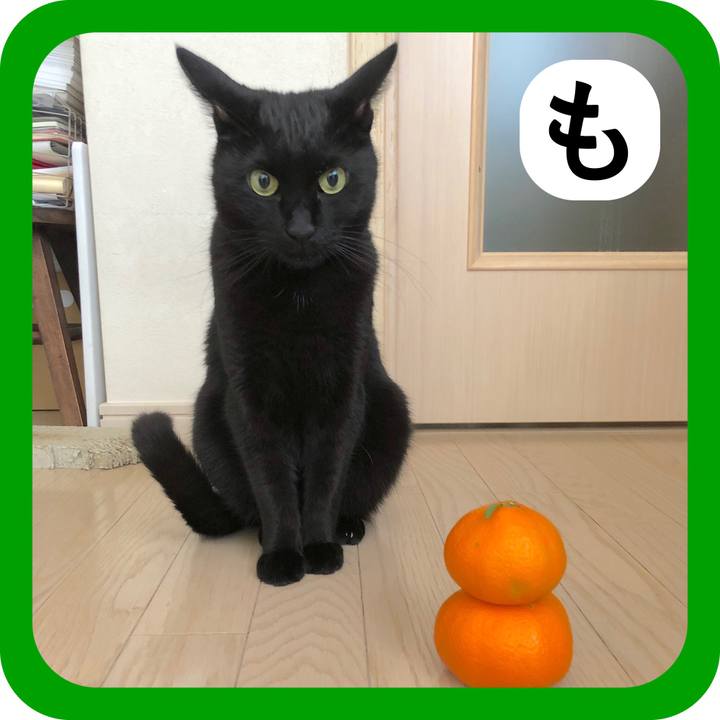 7d69e016 548d 4a20 b352 6d42ee9e730b 1514773778015