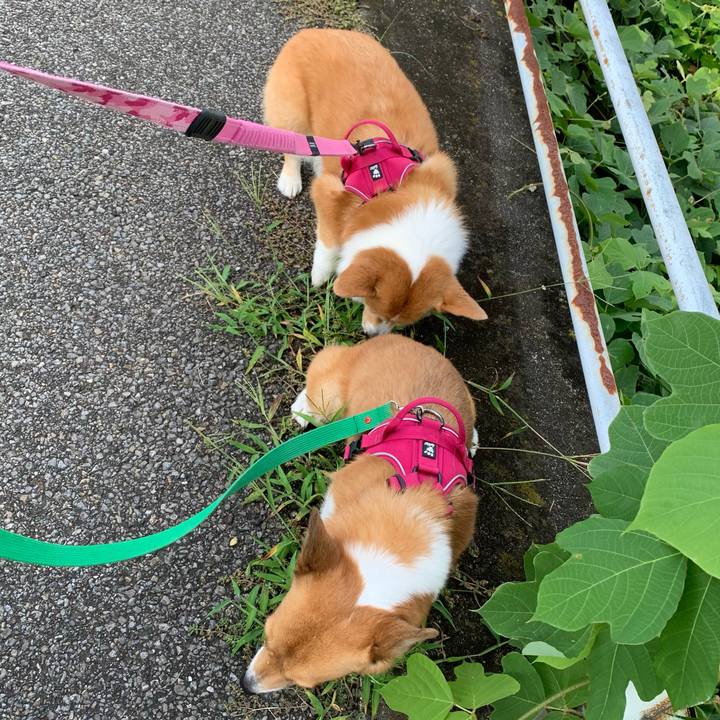 7d69fcf9 6f2a 438f 9310 ca4483116912 1630366949173