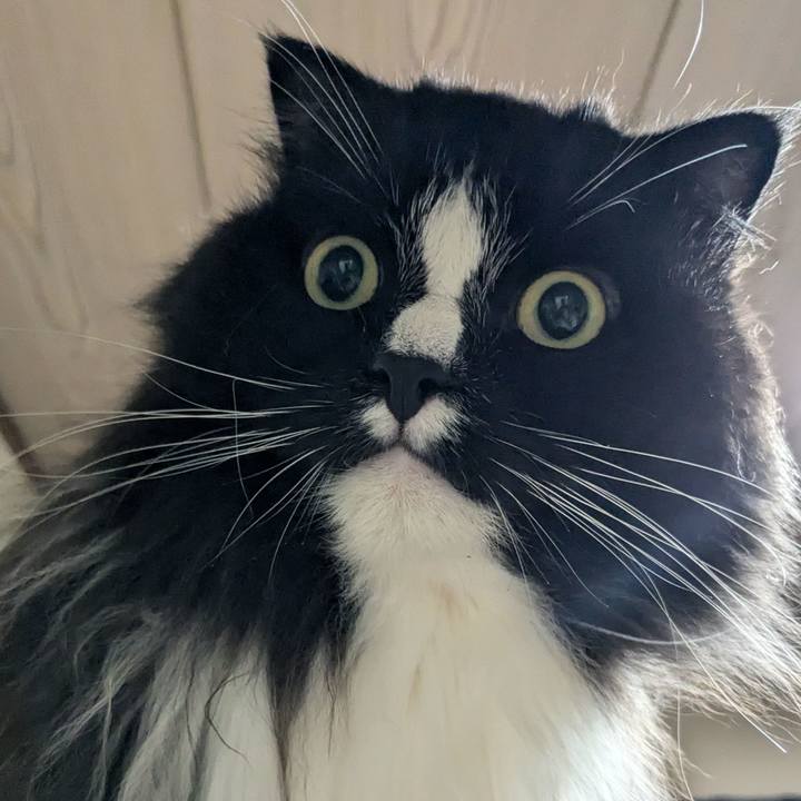 7d6a106c f1f1 4019 8401 b5e337e32ddf 1724936038440