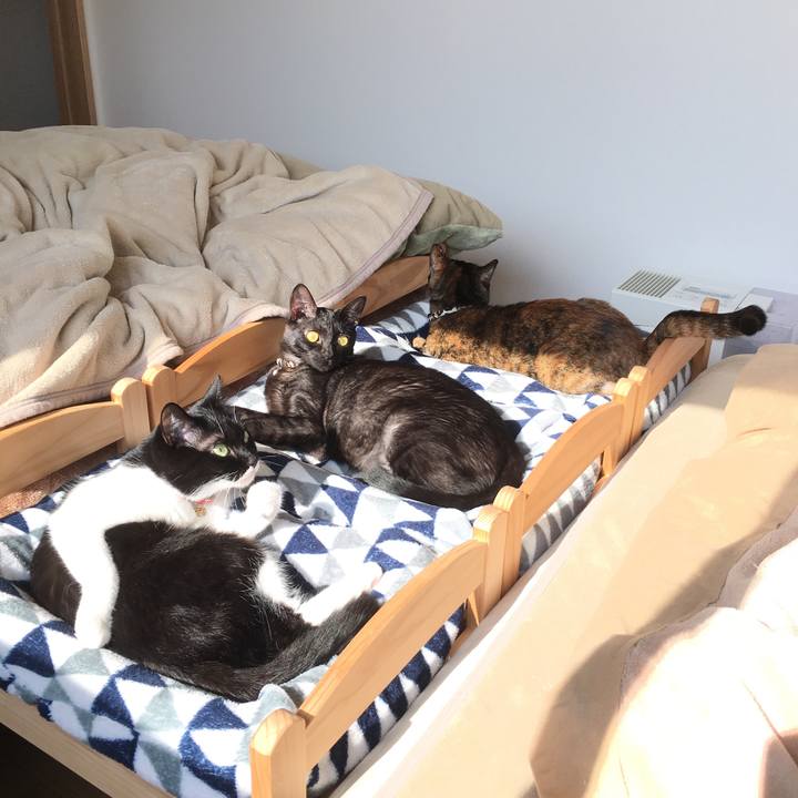 7d6a288c f688 4d06 998a ed012df2111f 1509887600071