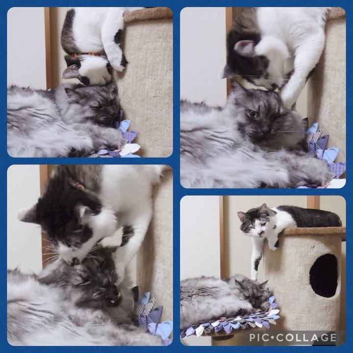 7d6a40f2 b0a8 4eba b5b6 fa059d11dd36 1721116386287