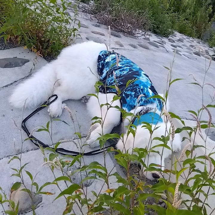 7d6a7c23 3c8f 4d7d 904b fdbacd5cc488 1693082324900