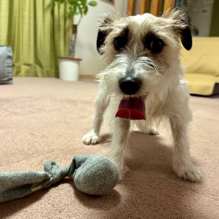 7d6a87c3 5734 4c5c 8d77 24b34c2da7fc 1711892175691