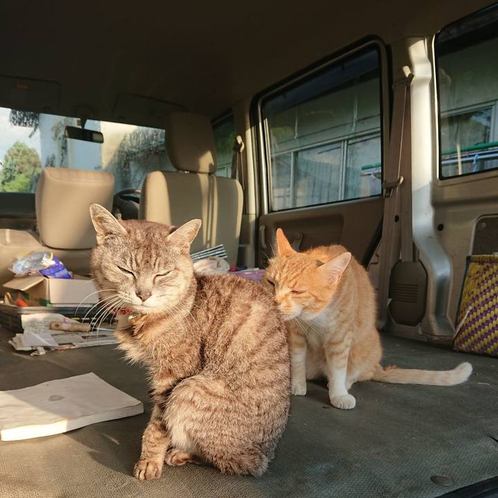 7d6ab954 cd24 46ce ac75 91099b1fa708 1592599614983