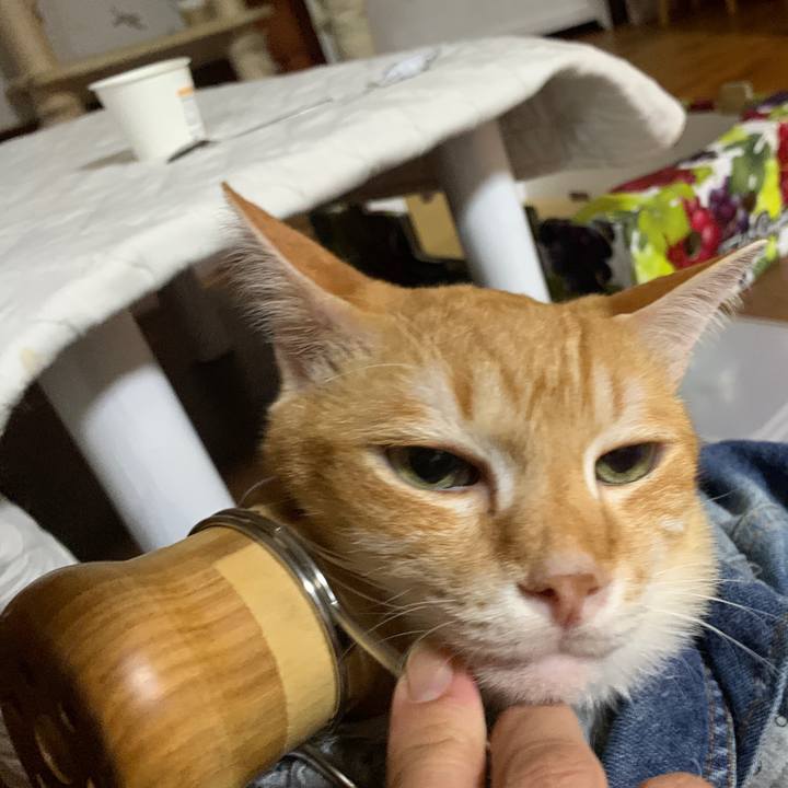 7d6acb5c c078 4cd1 a0eb 848b7d4e53ab 1656341626814