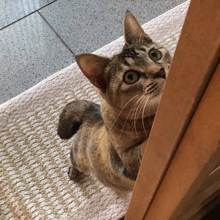 7d6acd6b 0bf9 45ea afd9 a8c69f8c8d7e 1579746608728