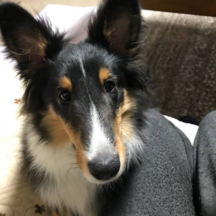 7d6ad8af 6084 4bf1 80a8 3eae6e033b13 1519336388431