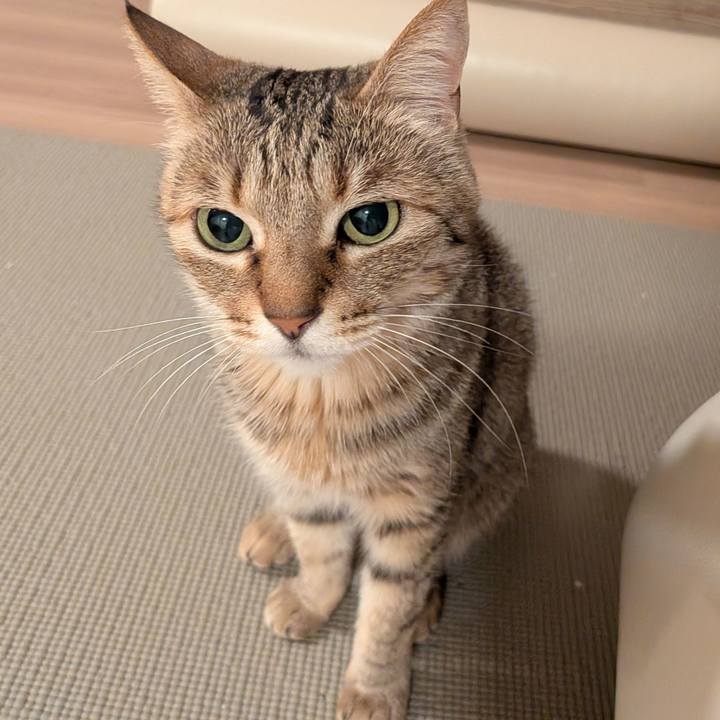 7d6adb88 e531 4c90 9bd5 1d6204e7d51e 1774742901971