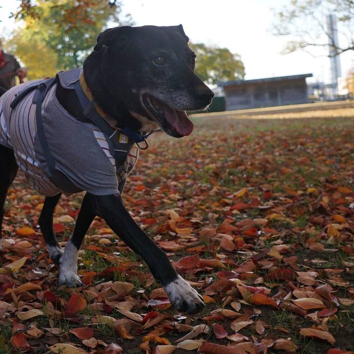 7d6b20ea 3ec2 4295 b265 203a45d8e228 1763516182116