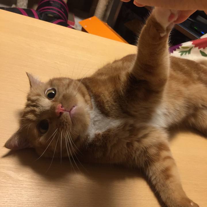 7d6b344d 7ea5 492b 9935 8eddc51e3ea0 1536416447354