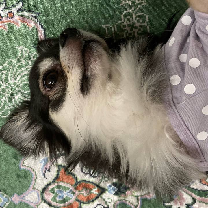 7d6b584f 1598 4b33 9ccb a3ccf57a2fcc 1651238881692