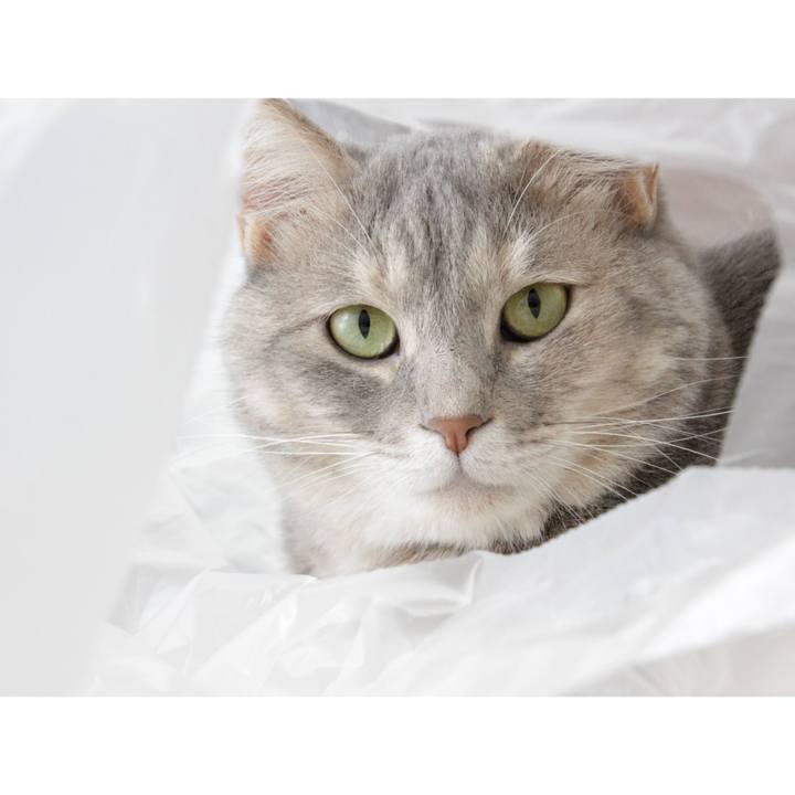 7d6b7770 6d6c 41a7 90eb 71e10d7a8439 1595659503972