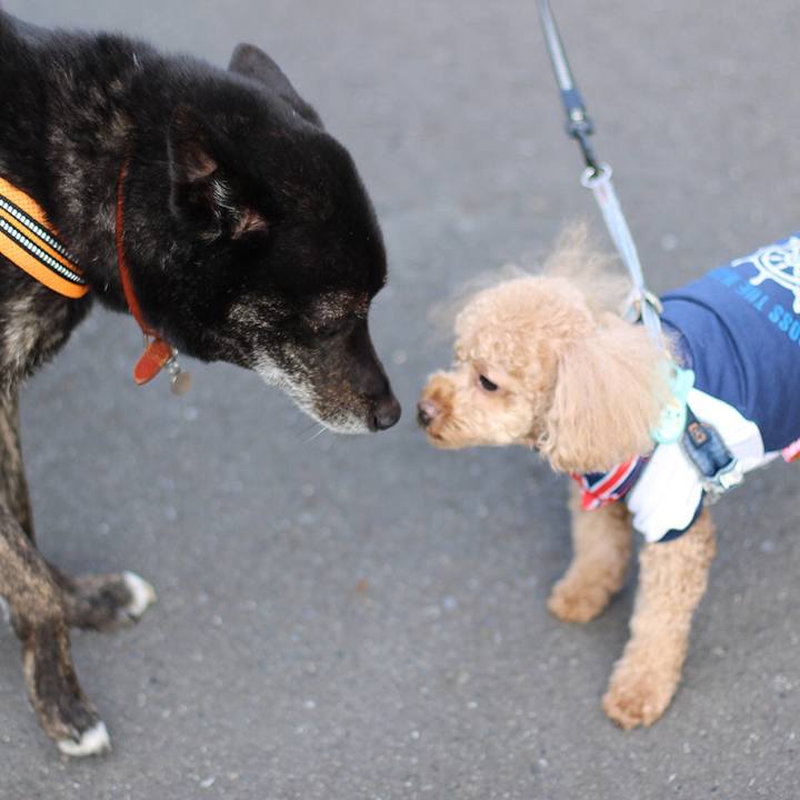 7d6b87a5 a148 463e b563 a0c06f3550ba 1624836468500