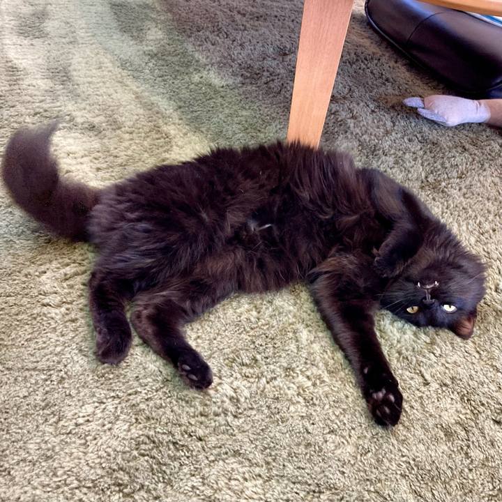 7d6b8bed c024 4345 909f c0b672f5b12c 1750136472040