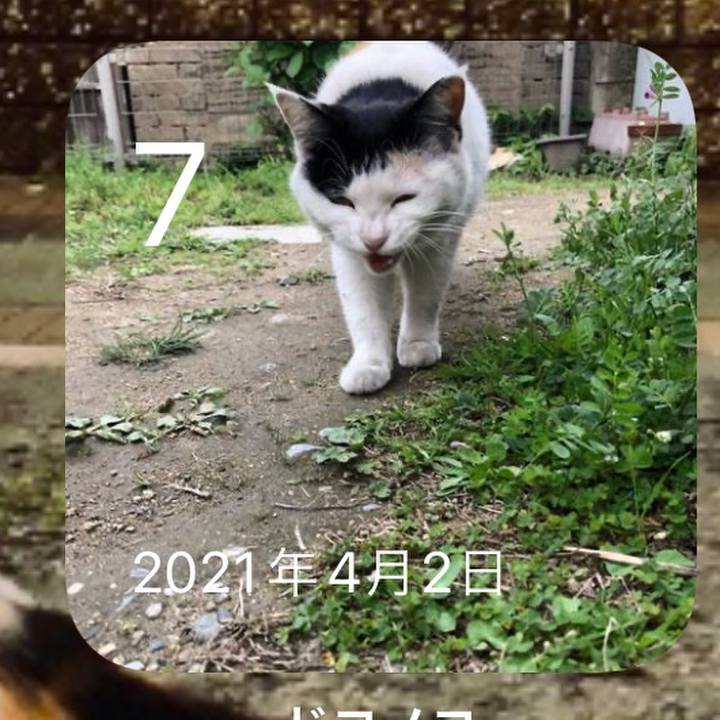 7d6b93f1 bb30 4a73 bea0 774d714e81dd 1649281438808