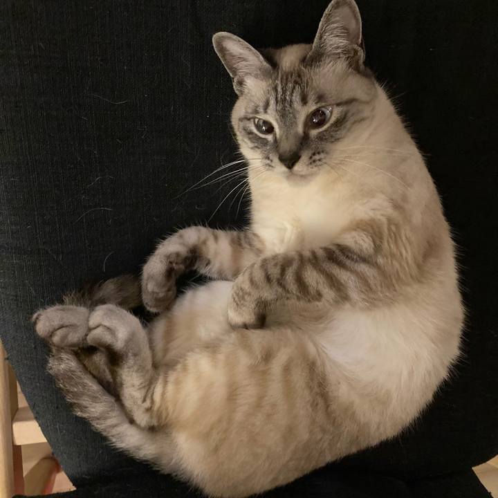 7d6ba985 8ed1 4343 b9dd efaf3dee0855 1621249669995