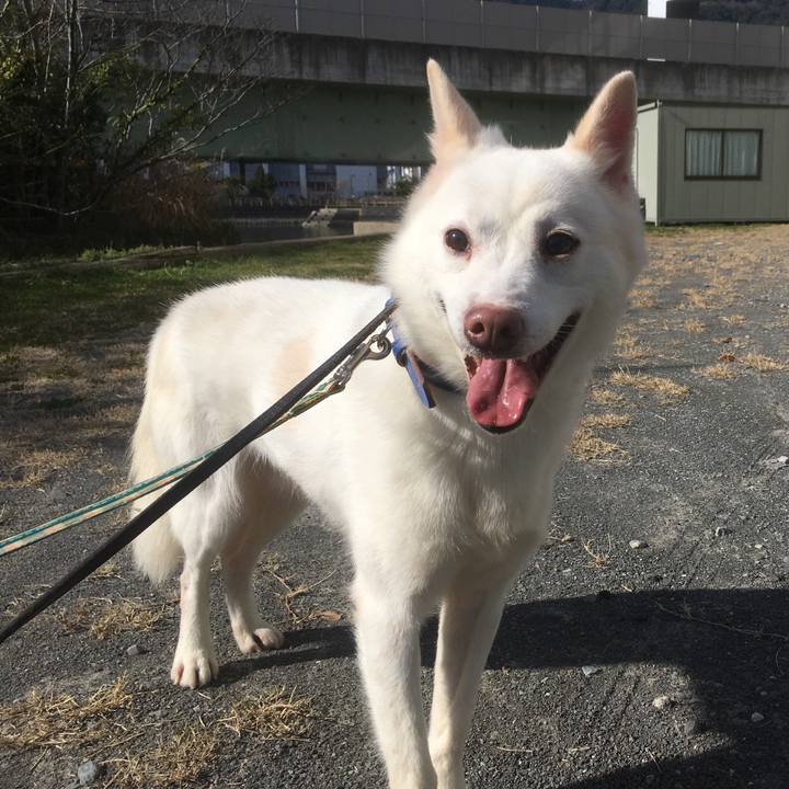 7d6bab74 9776 47cf a4d6 dd20eee3373b 1548776075755