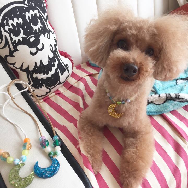 7d6bebec 2192 46d8 a03d ffa5366dee62 1507789152569