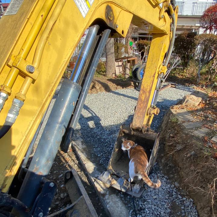 7d6c1d45 3d0e 469d 997a 86f74bcefcb1 1606308471491