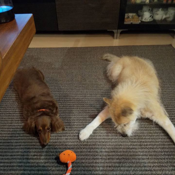 7d6c2a68 9f11 40f3 9e9c a378124672fc 1592658364515