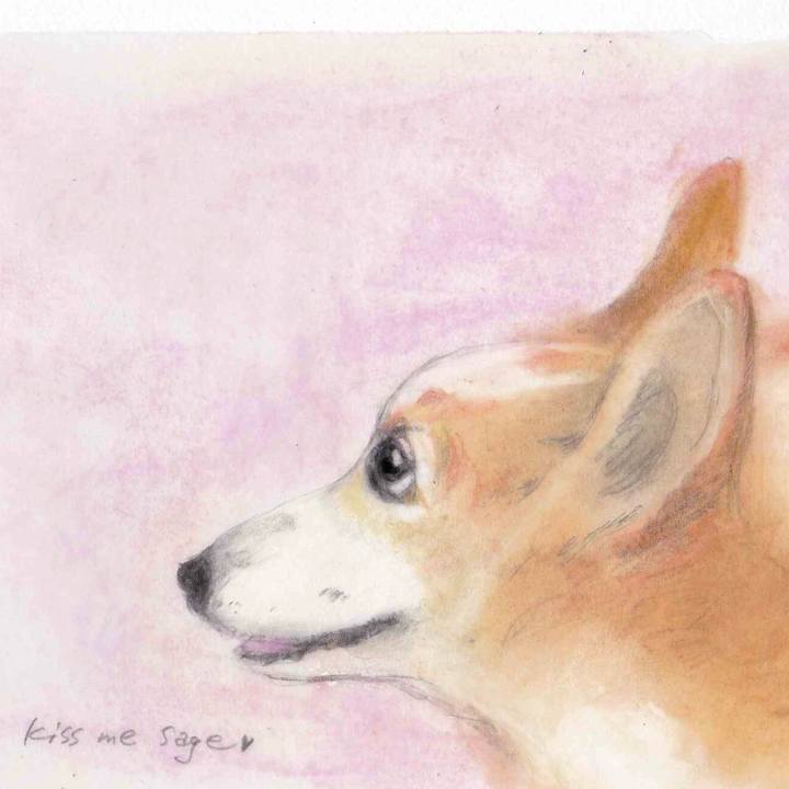 7d6c2a7b 0be6 4087 964b c3e60590e8d5 1584463447345