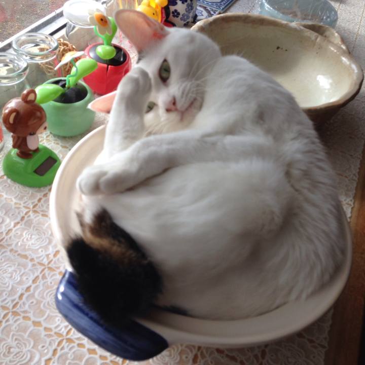 7d6c76c6 7675 4663 840b d0c248073be1 1508113768264