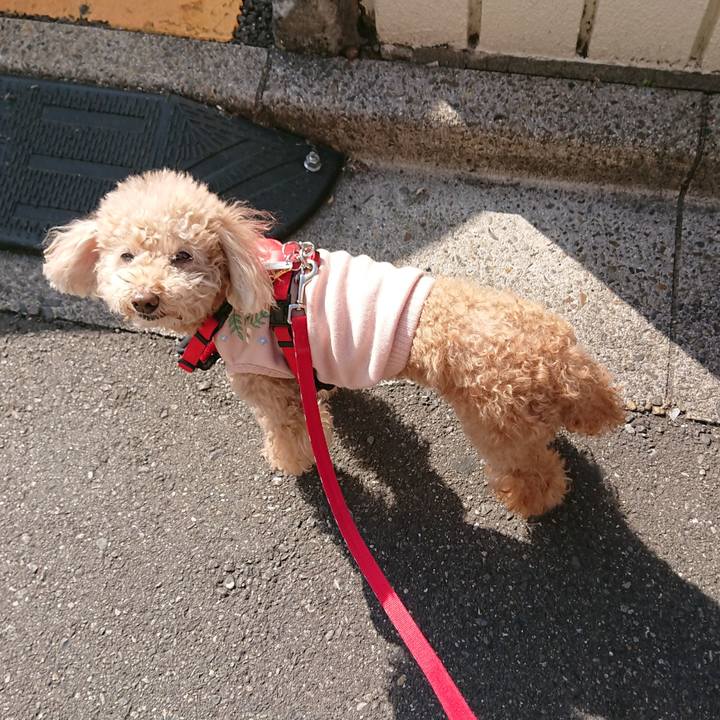 7d6c9f1e e65a 4a9d a391 1db490230289 1613180861060