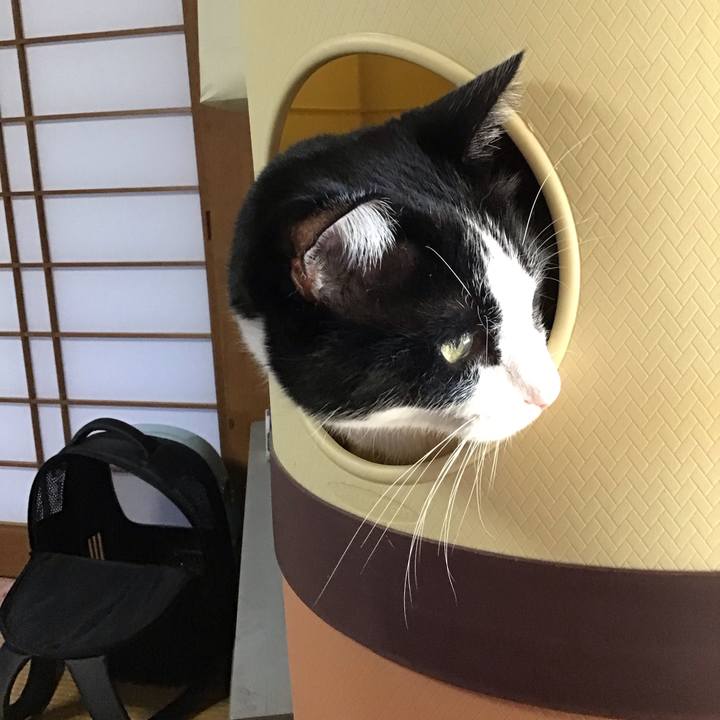 7d6cc2da b444 4303 965a 4520ace57da6 1732179988530