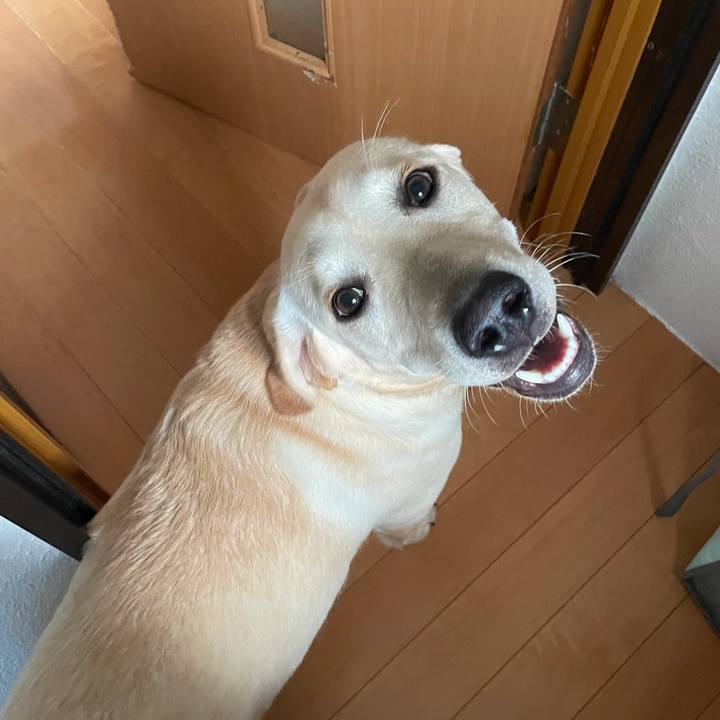 7d6cf4e0 11a8 4be4 b041 5b8763bae4f9 1623719180766