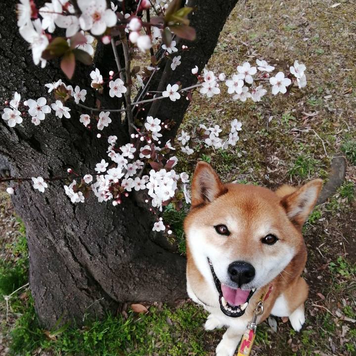 7d6d14d3 6bb3 4293 8dd0 719773b92b21 1615876732868