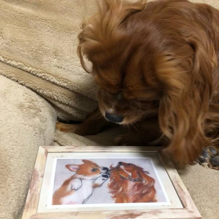 7d6d2544 36cc 42d9 9aee 2cb81e841baa 1614770196771