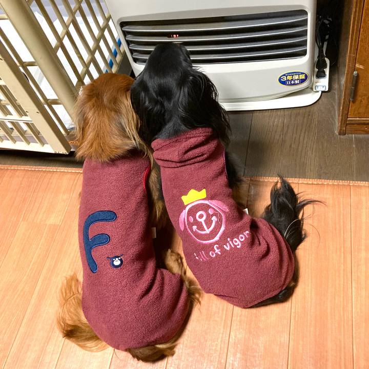 7d6d38cc 9783 45e1 8e64 5a2822c6c80c 1738659387177