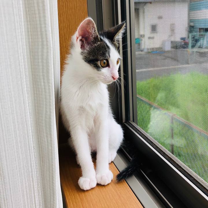 7d6d3d9d 8734 4e9a 93fc 15b639710c24 1563404442285