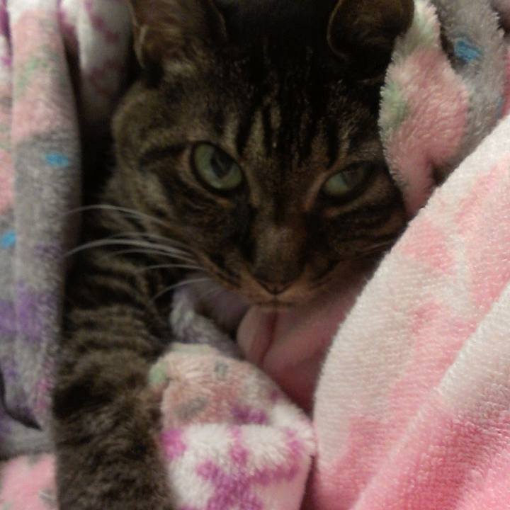 7d6d7f67 f9e4 4e69 a11c add4c1efda28 1520492806479