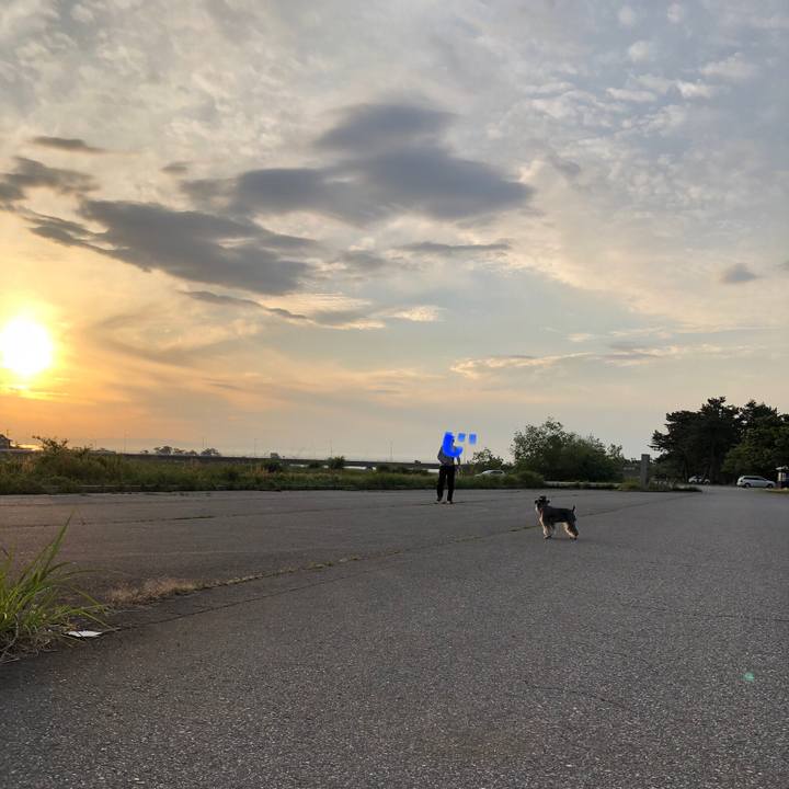 7d6dc5a7 2d93 4235 9301 7d5bb0c0bb72 1621091239279