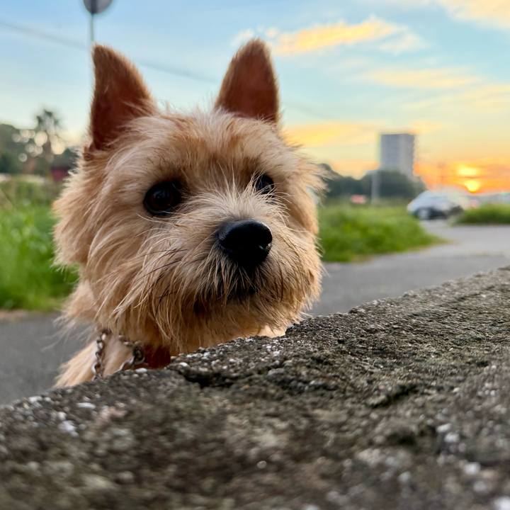 7d6dcec8 1d67 434b a687 6d48dedd03e3 1761915968925