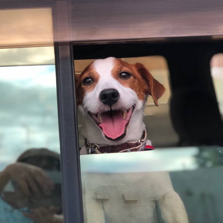 7d6defdf a39d 4577 8585 a2e7abe5e222 1630308686812