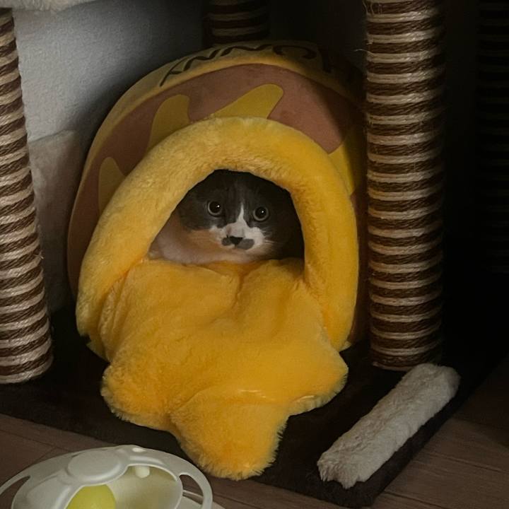 7d6e2b43 49ff 4bd3 ae7e 56d33df722d7 1744272522776