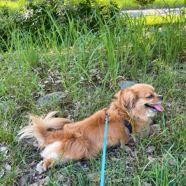 7d6e9a3c 4228 430c bd2e 464cfff5dea8 1598744940250