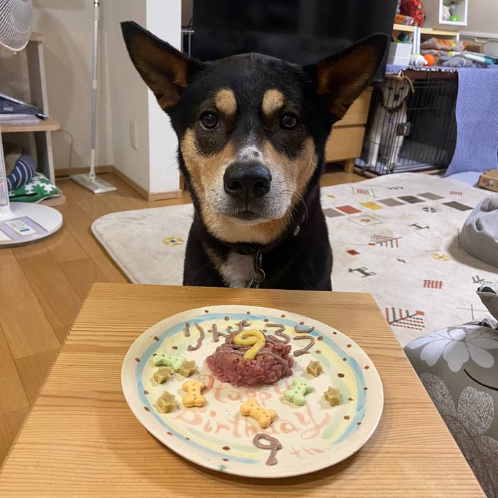 7d6e9bc8 4160 49ad a6bf f1c299e4c3e5 1720795723298