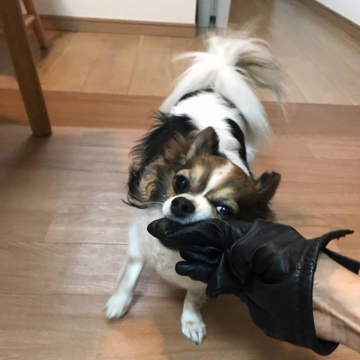 7d6ea720 aa37 4dc5 9c3e f8c56916d91c 1557913300607