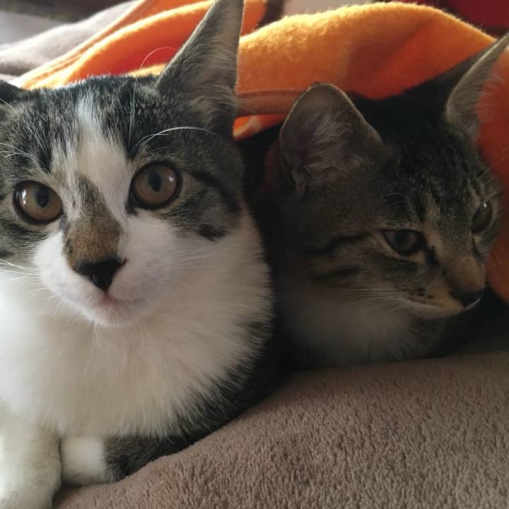 7d6eb71b ce35 4514 a025 f5f41fd52b17 1602320228962