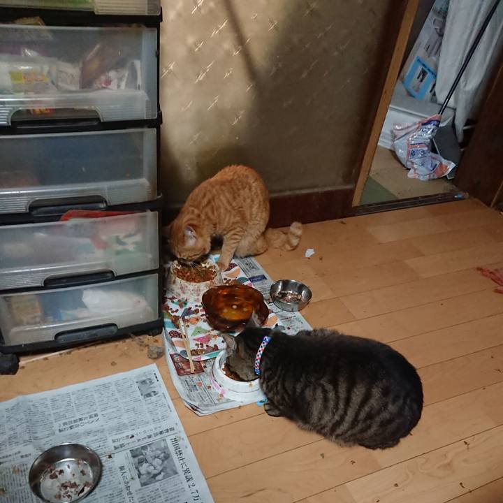 7d6ed24d c07b 405c bb37 1fe461c8e9ff 1656019557814