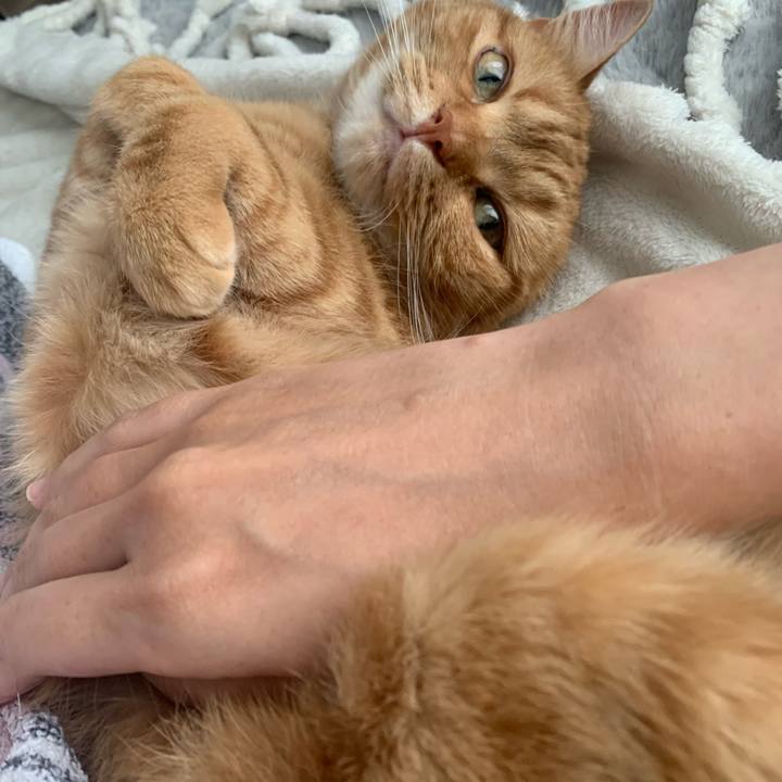 7d6f514a 6041 4d6a b1e2 2e333bf23cb2 1655609791674