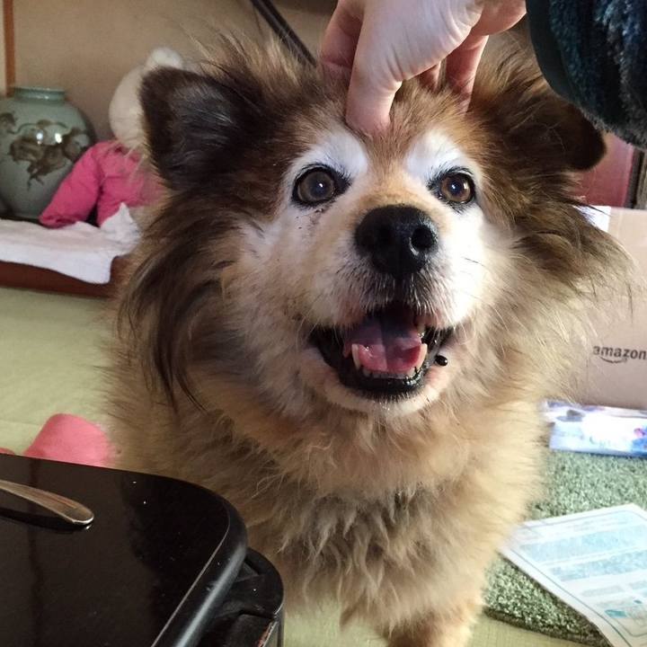 7d6f5494 5246 4b72 aad3 689c32706648 1611540309236