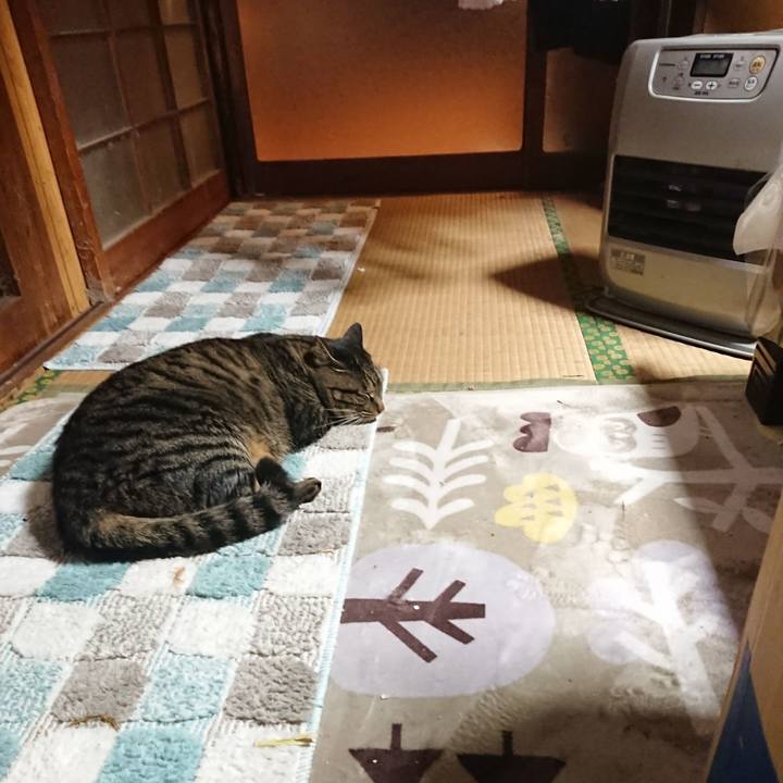 7d6f6d8d 77ae 4083 8da3 723bce08acdc 1639826494438